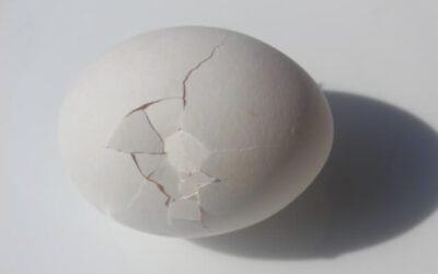 Stacy’s Testicle Guide: Know Your Nuts Before You Crack ‘Em 